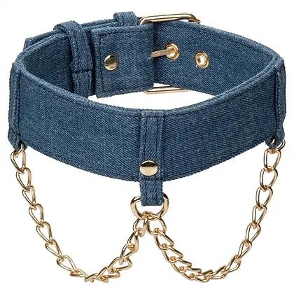 Ride Em Denim Collar and Leash Albastru