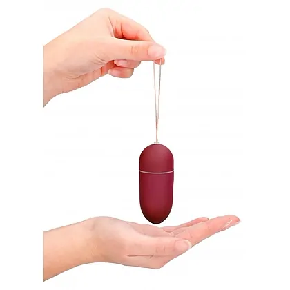 Vibrator 10 Speed Remote Egg Big Rosu