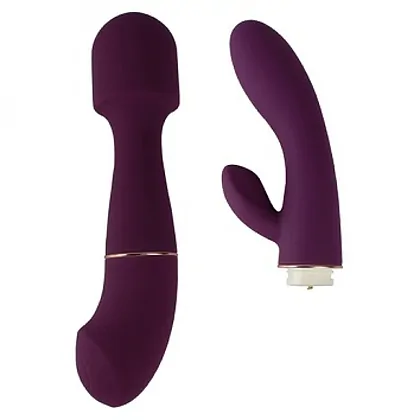 Vibrator DUA Interchangeable Mov